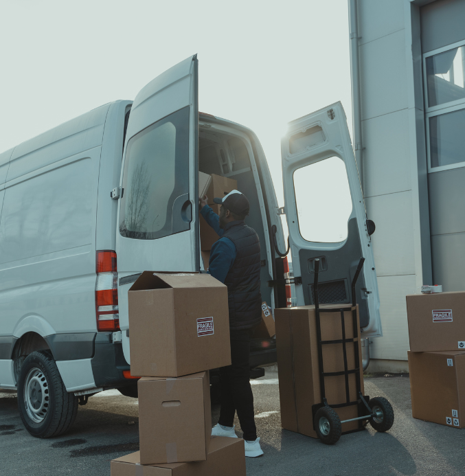 logistica